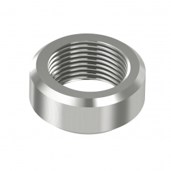 Render for NPT weldolet WOL-34NL