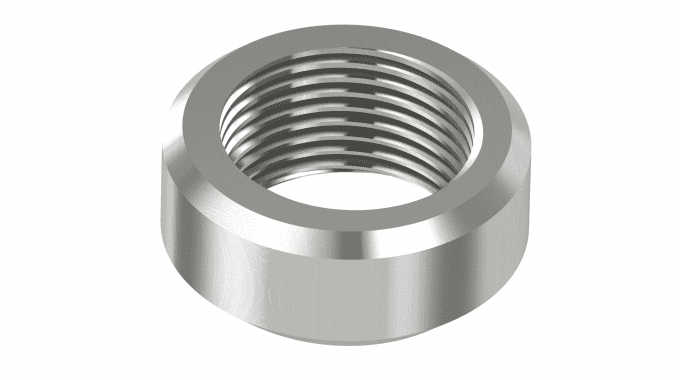 Render for NPT weldolet WOL-34NL