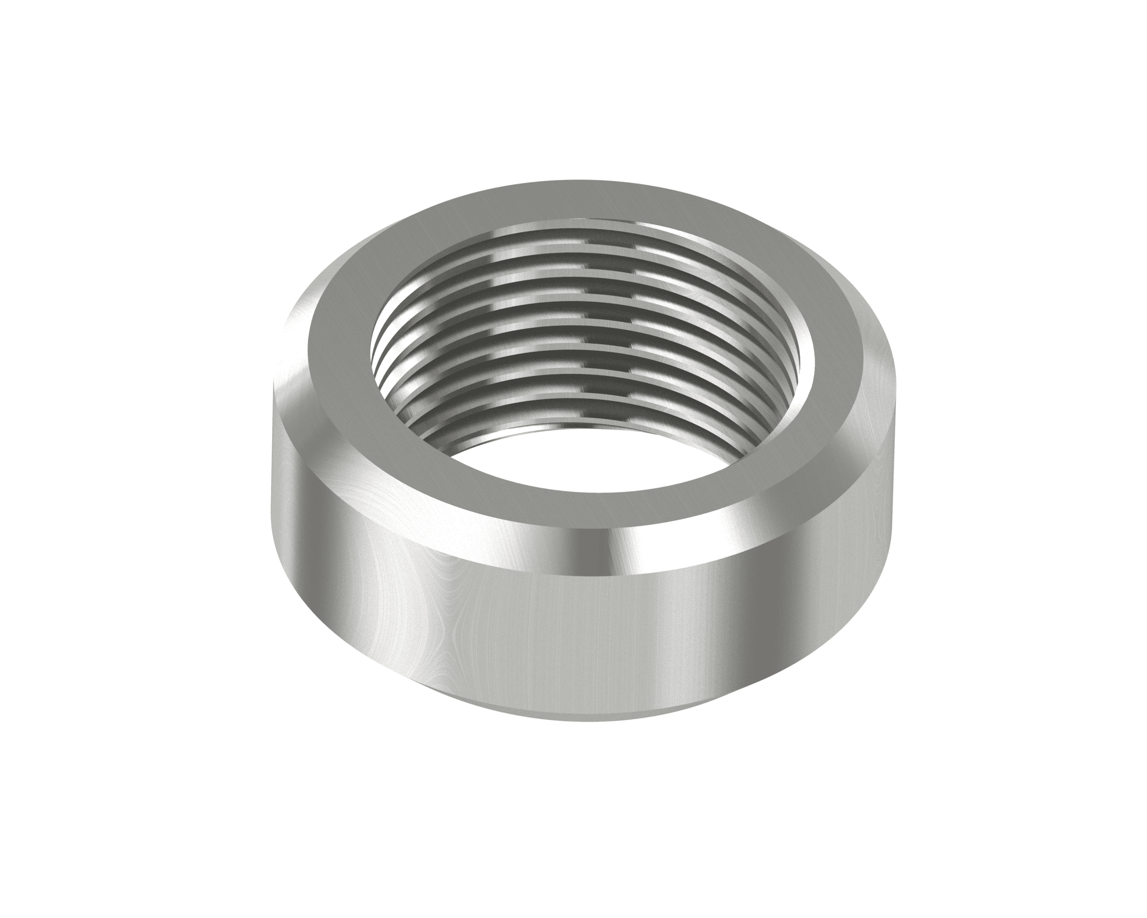Render for NPT weldolet WOL-34NL