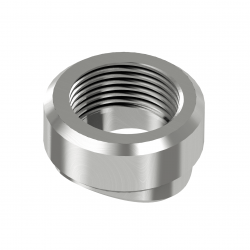 Render for NPT weldolet WOL-34NS