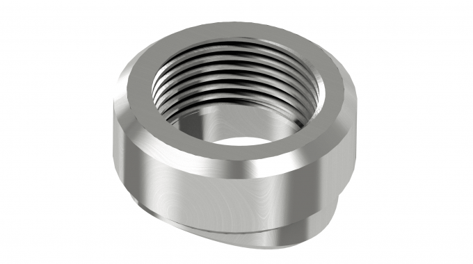 Render for NPT weldolet WOL-34NS