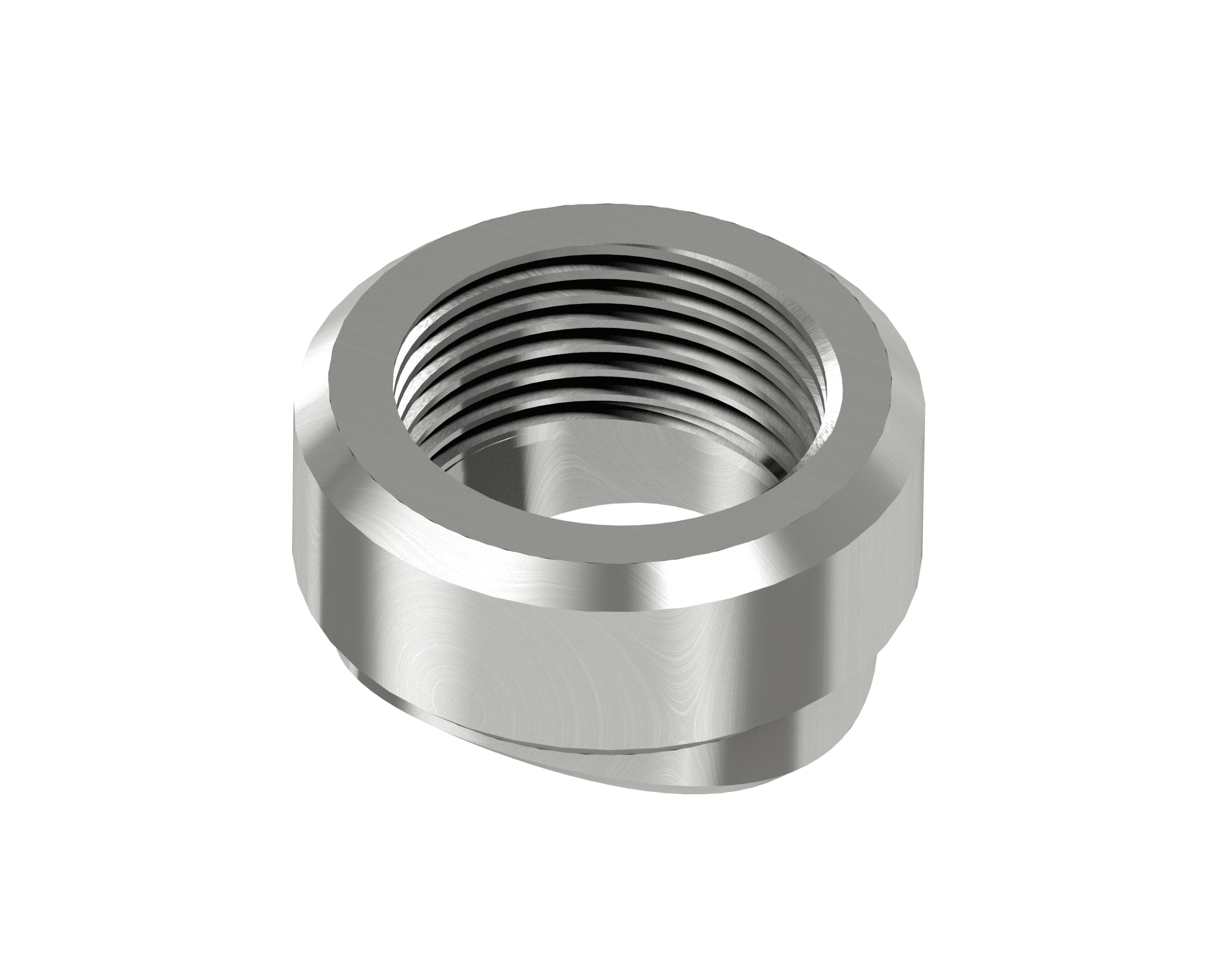 Render for NPT weldolet WOL-34NS
